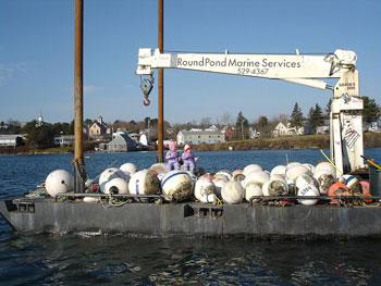 Jamie's girls with moorings
